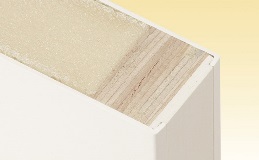 Smooth Fiberglass Entry Door Polyurethane Core Cutaway
